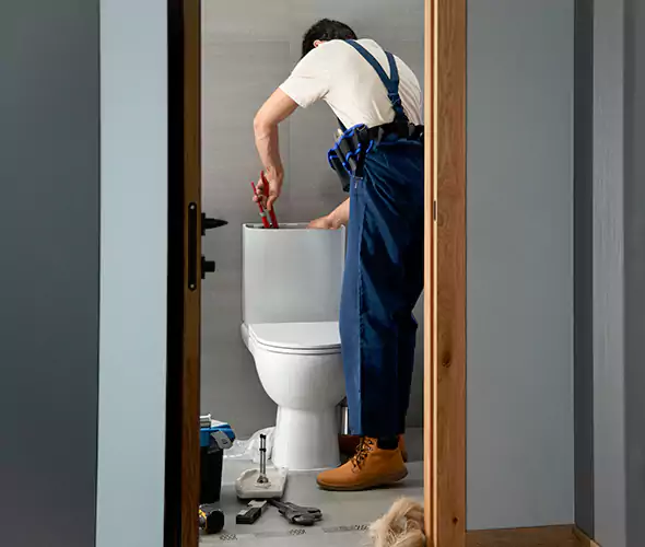 Professional Plumbers for Toilet Bowl Replacement in Chula Vista, CA: Schedule Affordable Toilet Replacement Services With Us