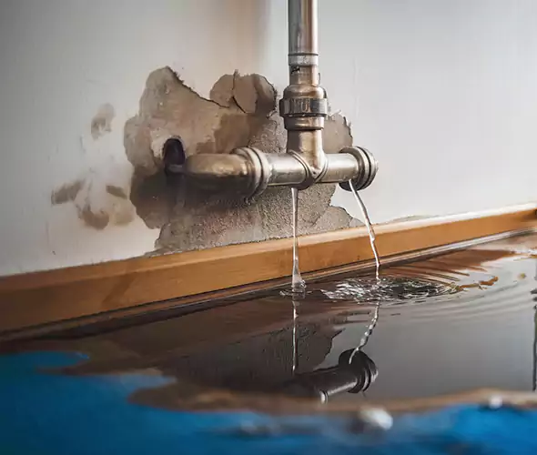 Professional Water Damage Restoration Experts in Chula Vista, CA — Fast, Reliable & Certified