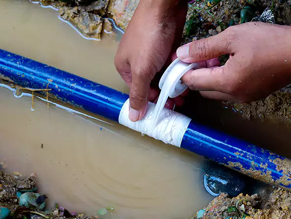  Why Choose Chula Vista Plumbing Pros for Leak Detection in Chula Vista, CA?]