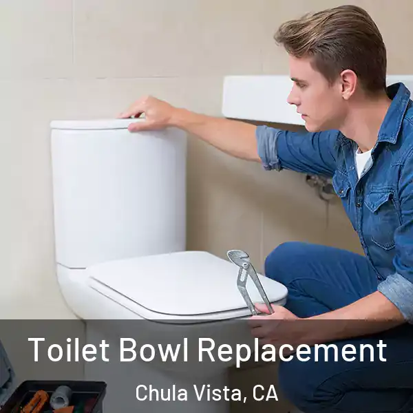  Toilet Bowl Replacement Chula Vista, CA