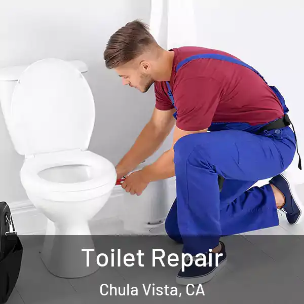  Toilet Repair Chula Vista, CA