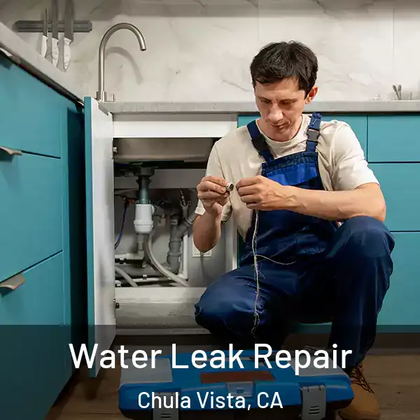  Water Leak Repair Chula Vista, CA